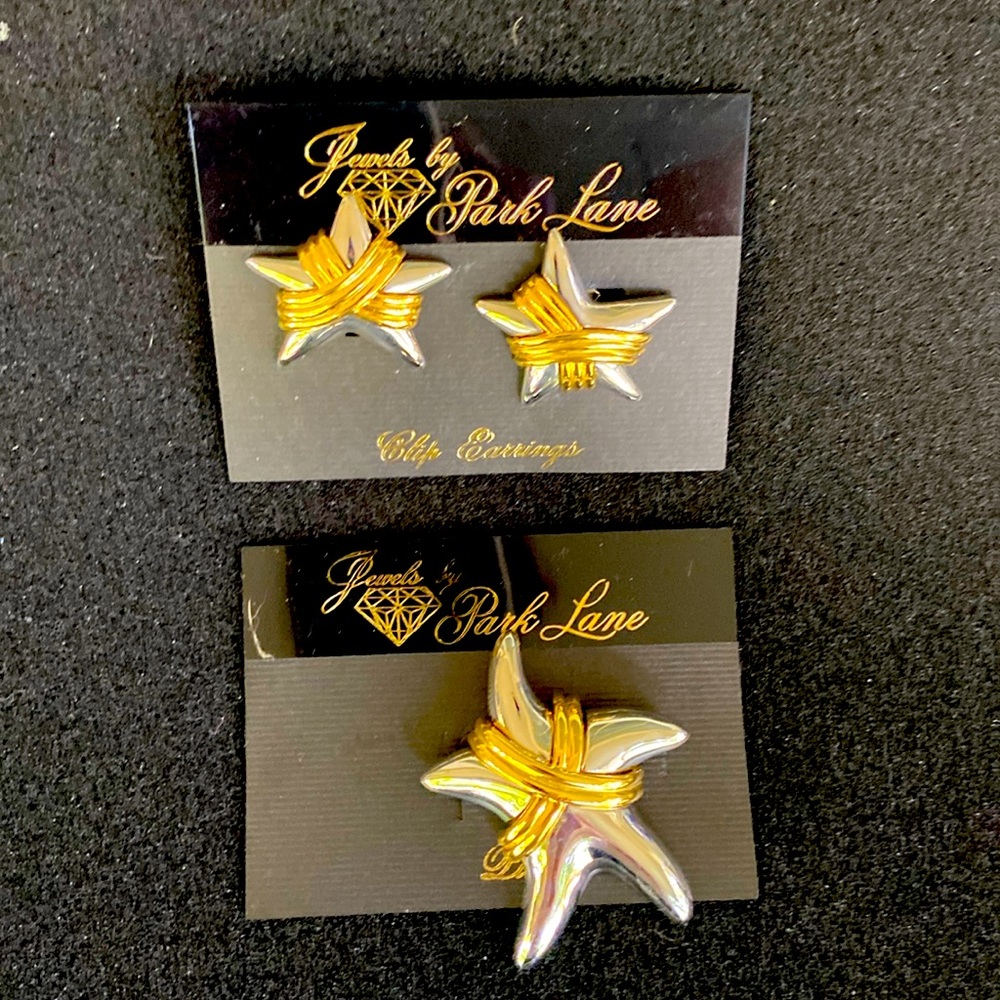 Jewels by ParkLane earrings and pin set